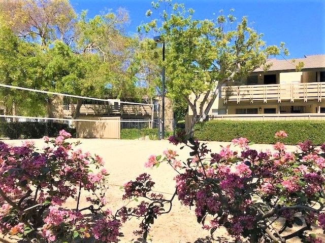 Newport Village | Costa Mesa, CA | Volleyball Court